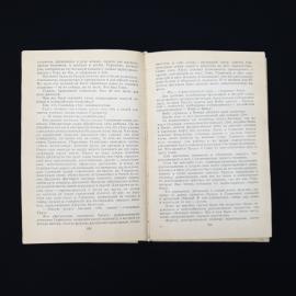 Картинка 5