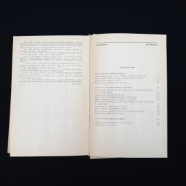 Картинка 6