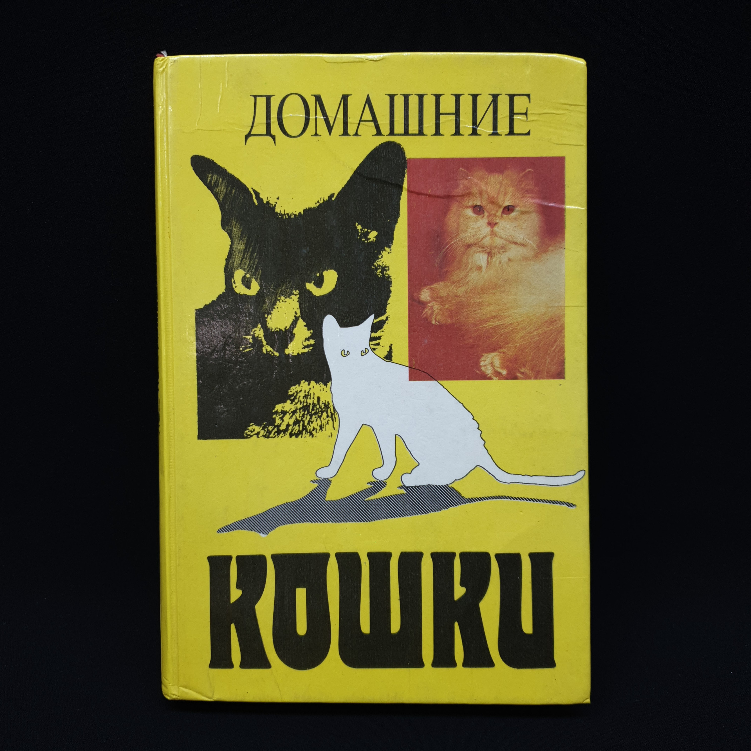 Картинка 1