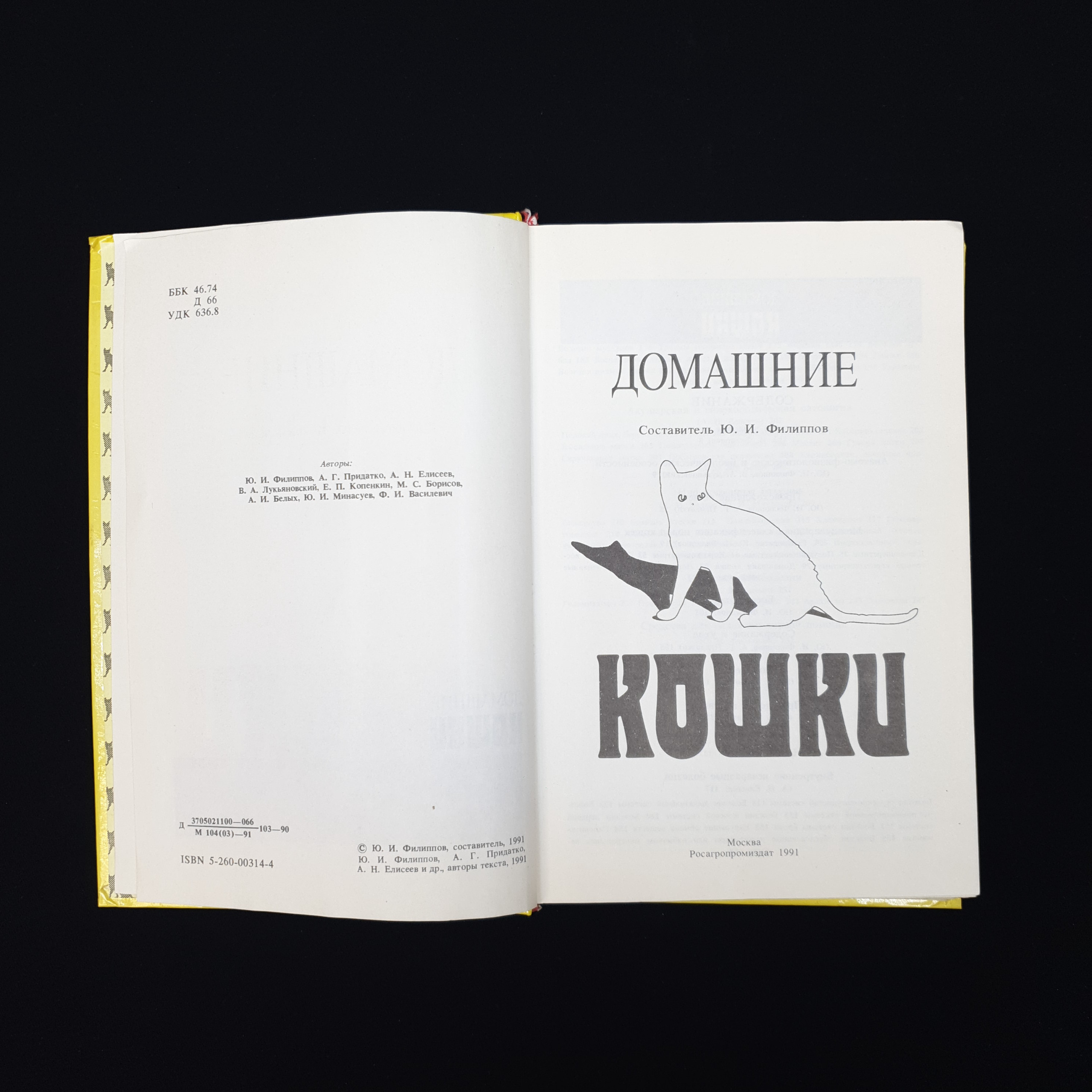 Картинка 4