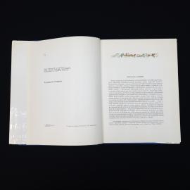 Картинка 4