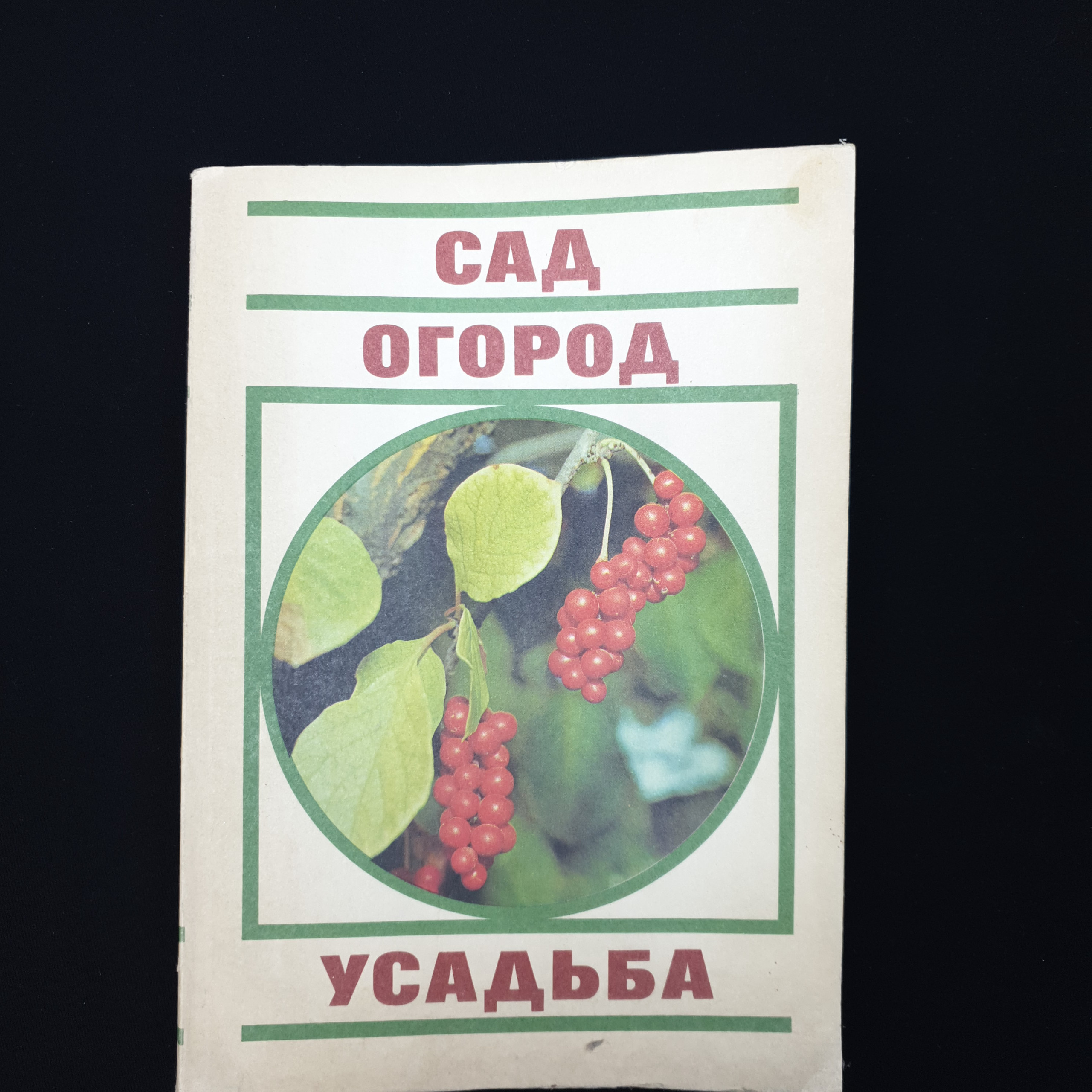 Картинка 1