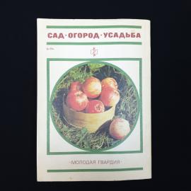 Картинка 2