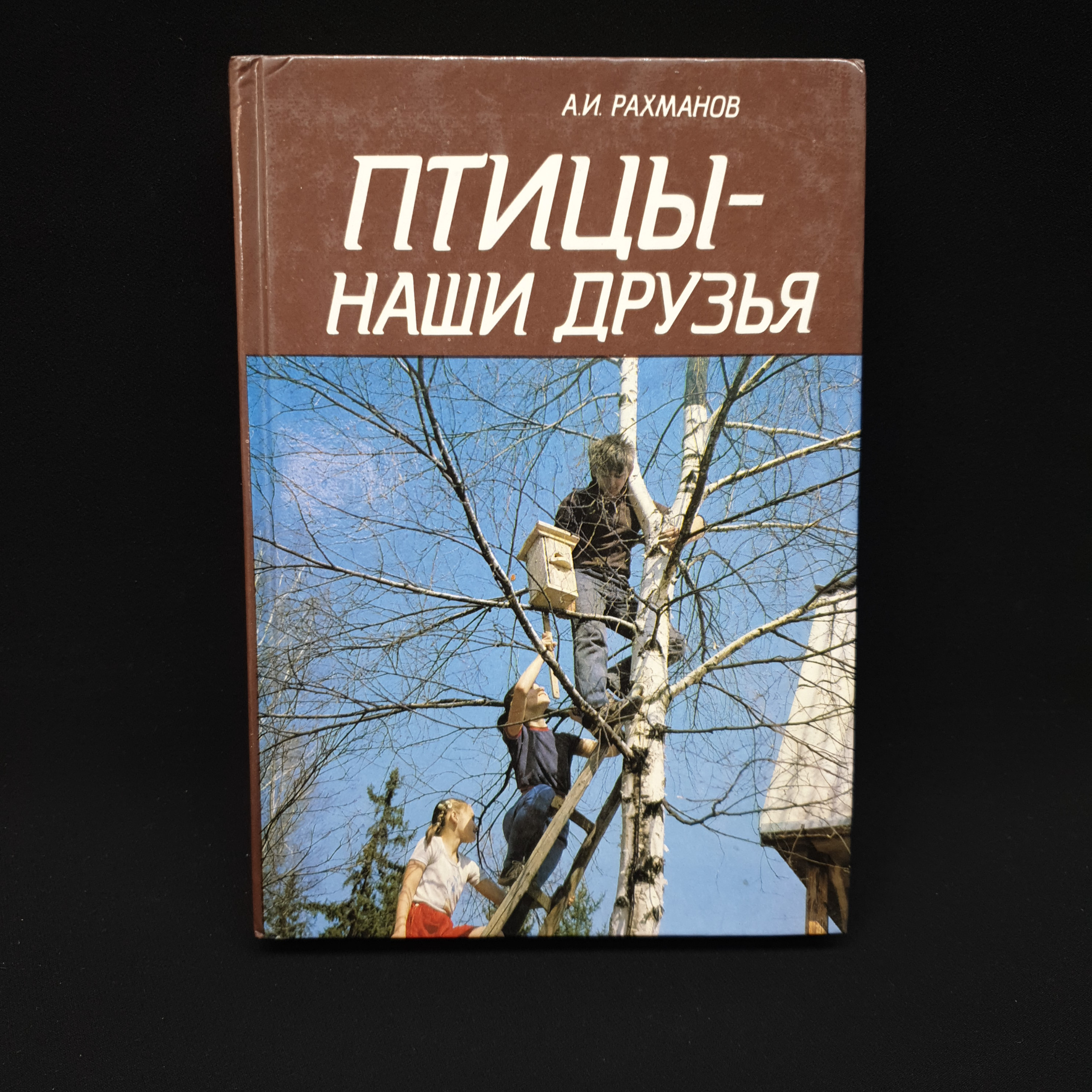 Картинка 1