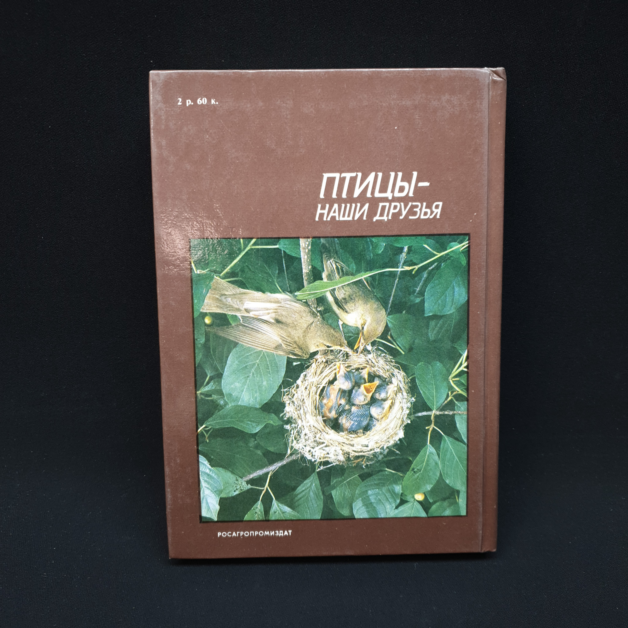 Картинка 2