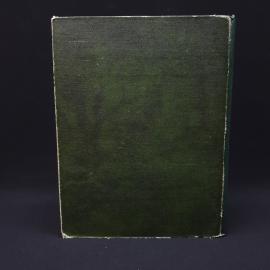 Картинка 3