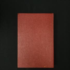 Картинка 3