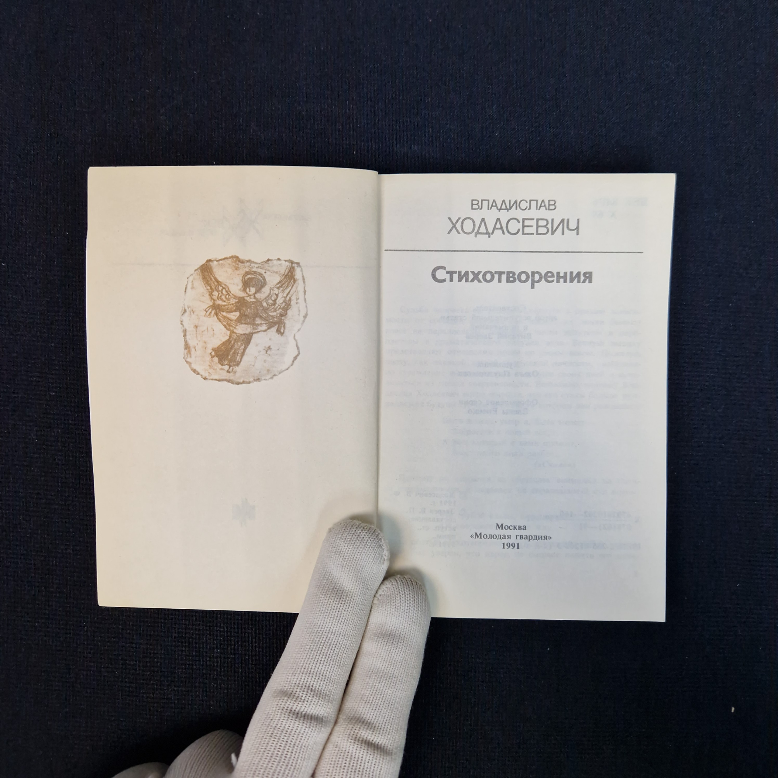 Картинка 6