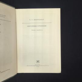 Картинка 4