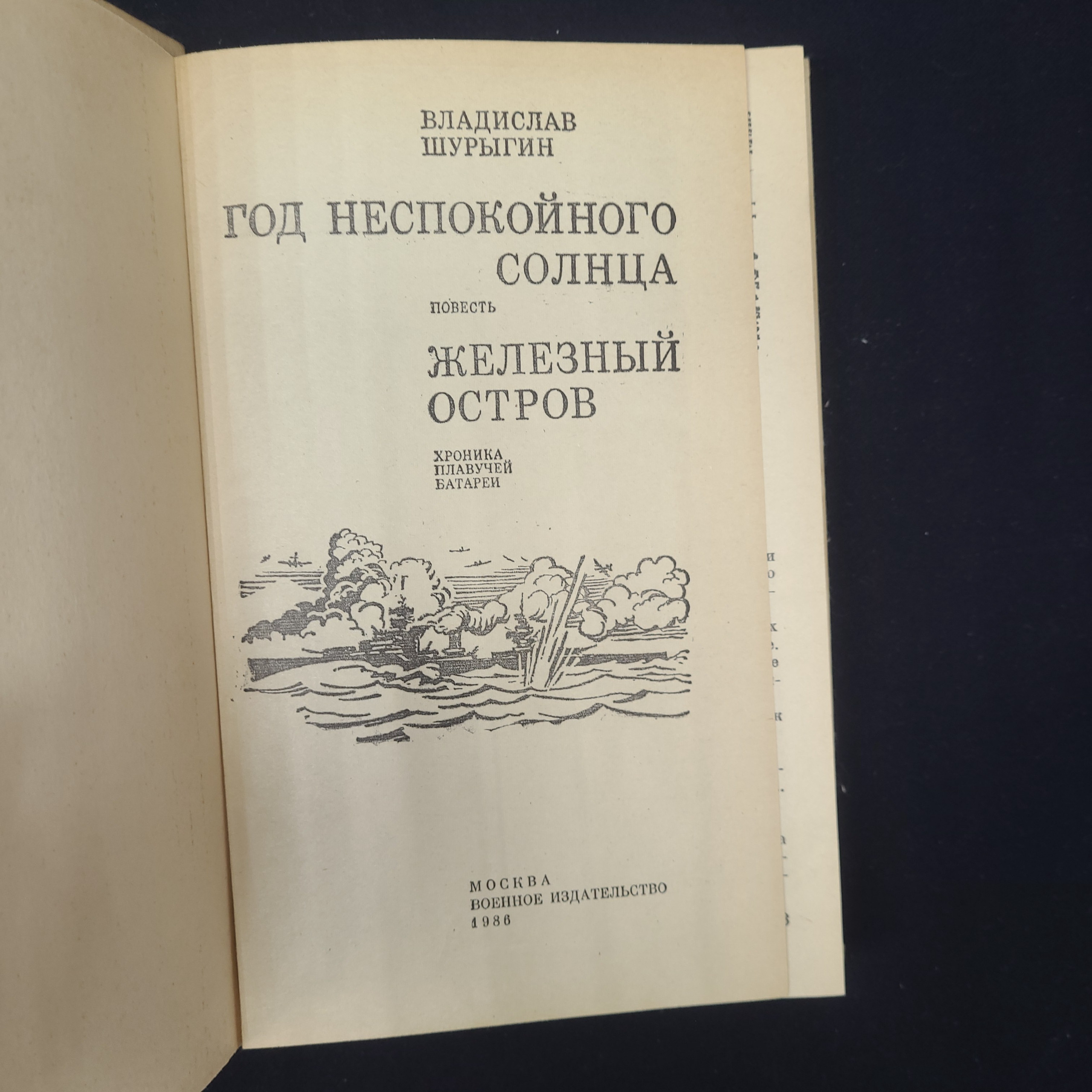 Картинка 4