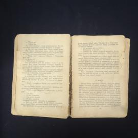 Картинка 5