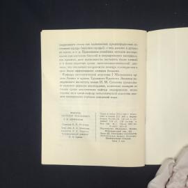 Картинка 5