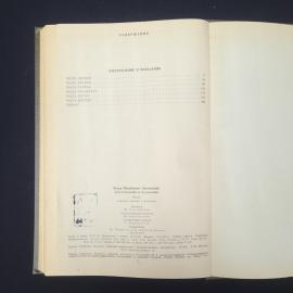 Картинка 6
