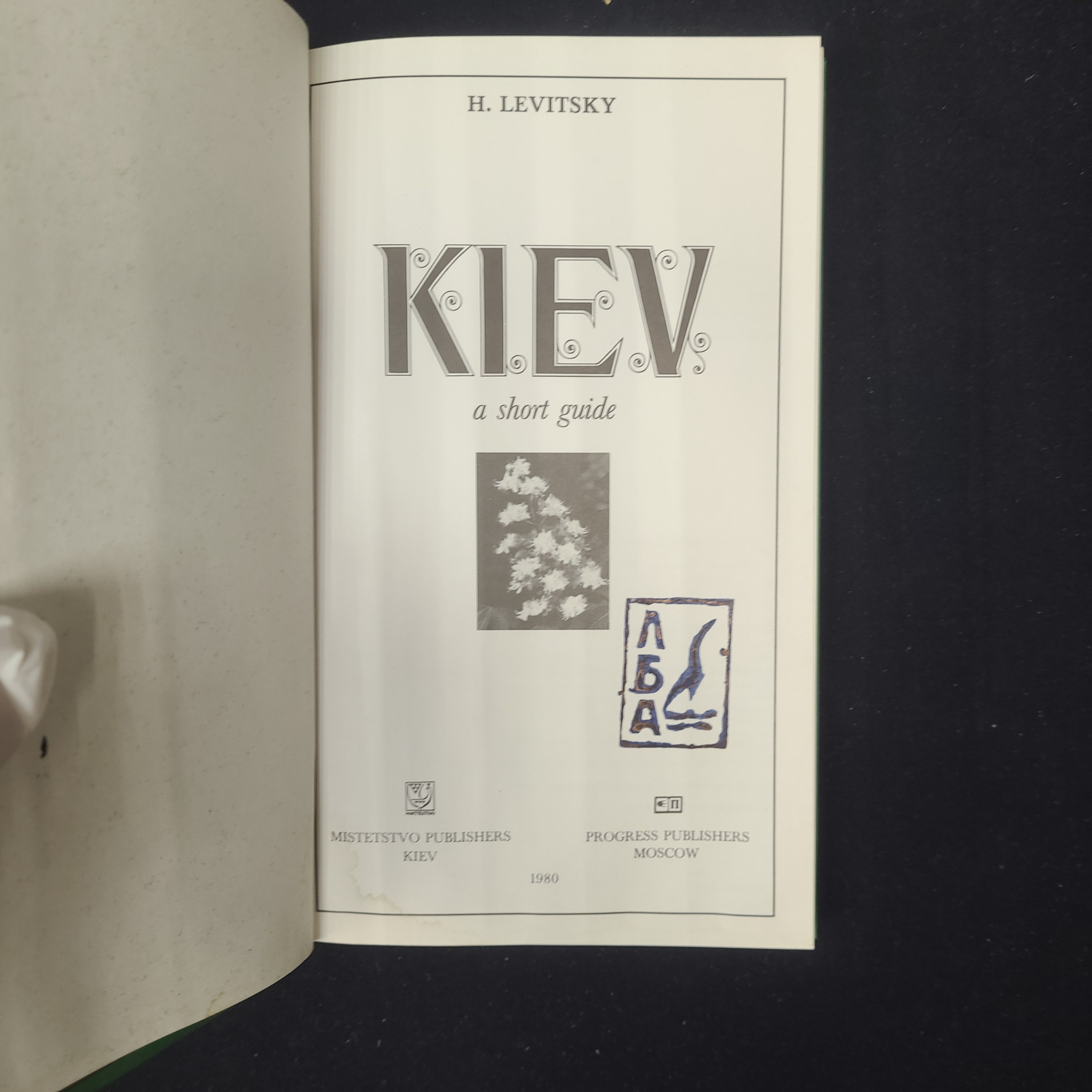 Картинка 4