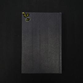 Картинка 3