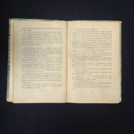 Картинка 5