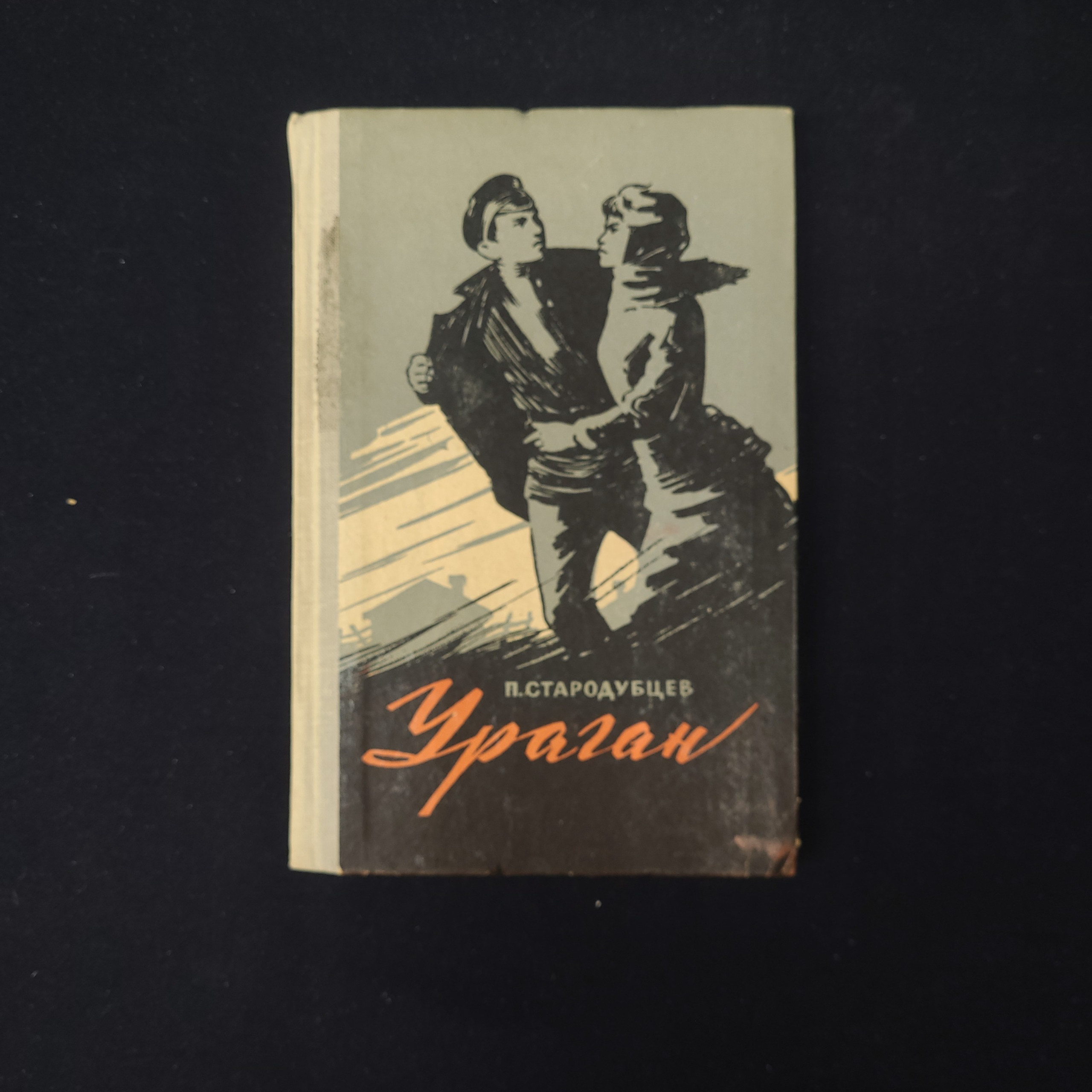 Картинка 1