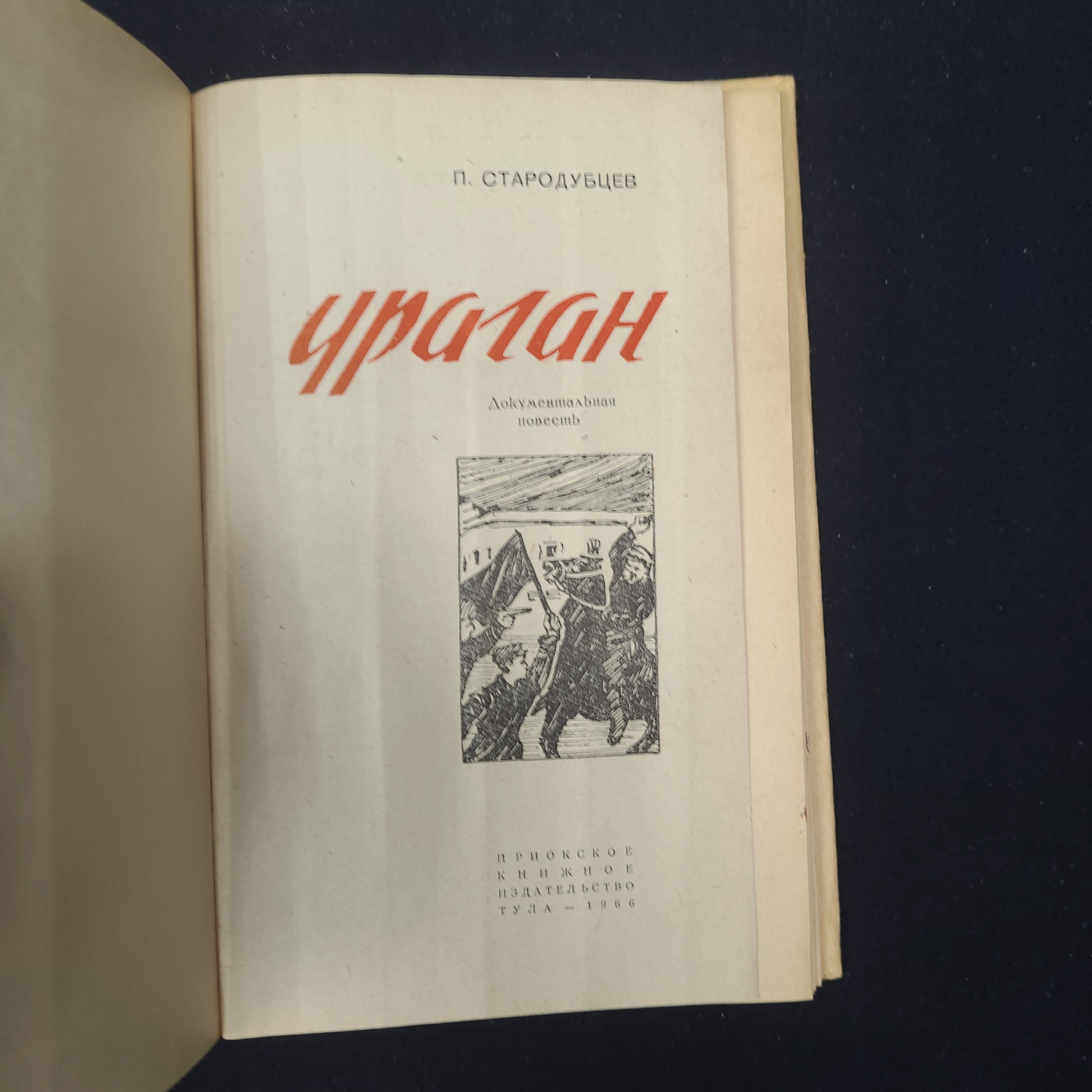 Картинка 4