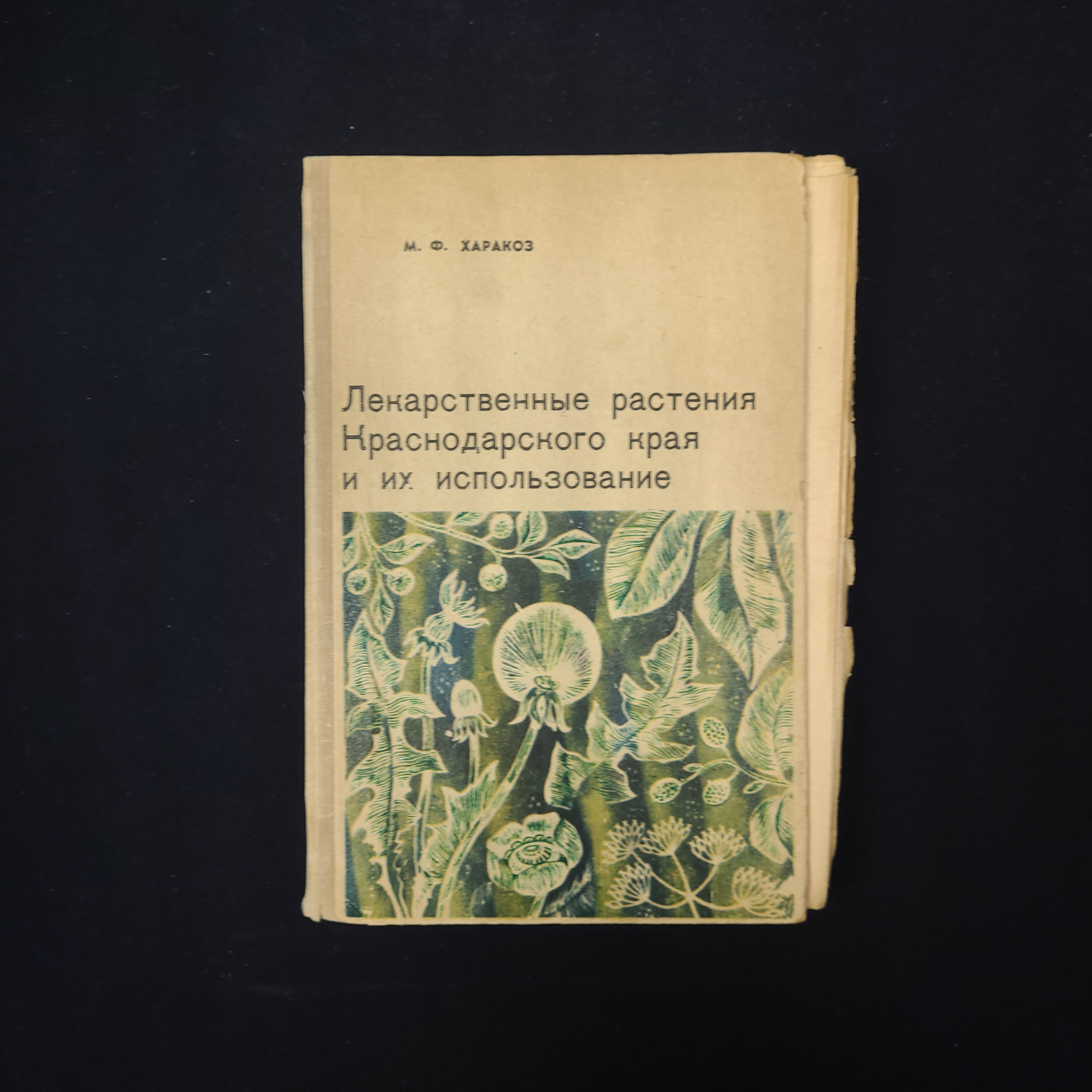 Картинка 1