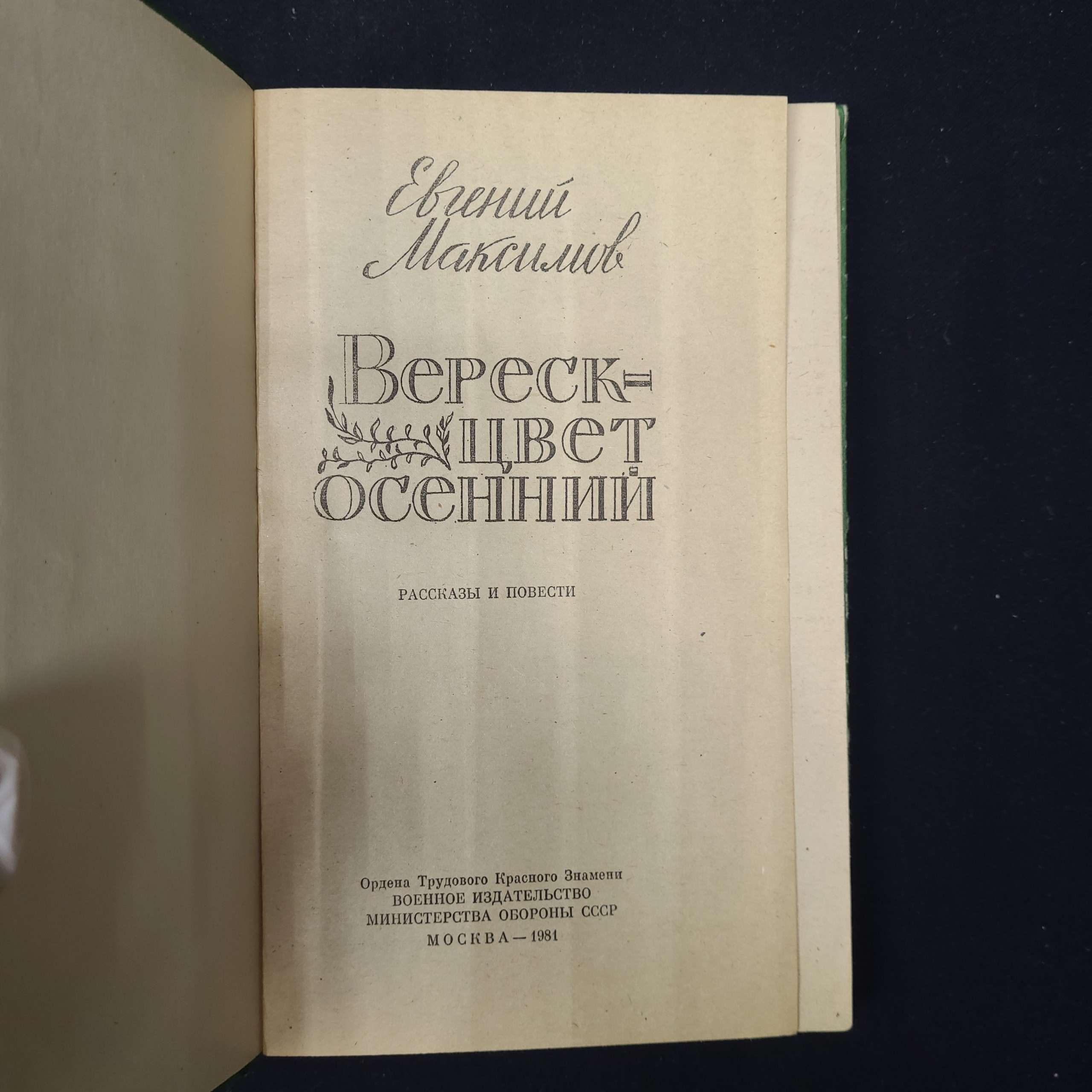 Картинка 4