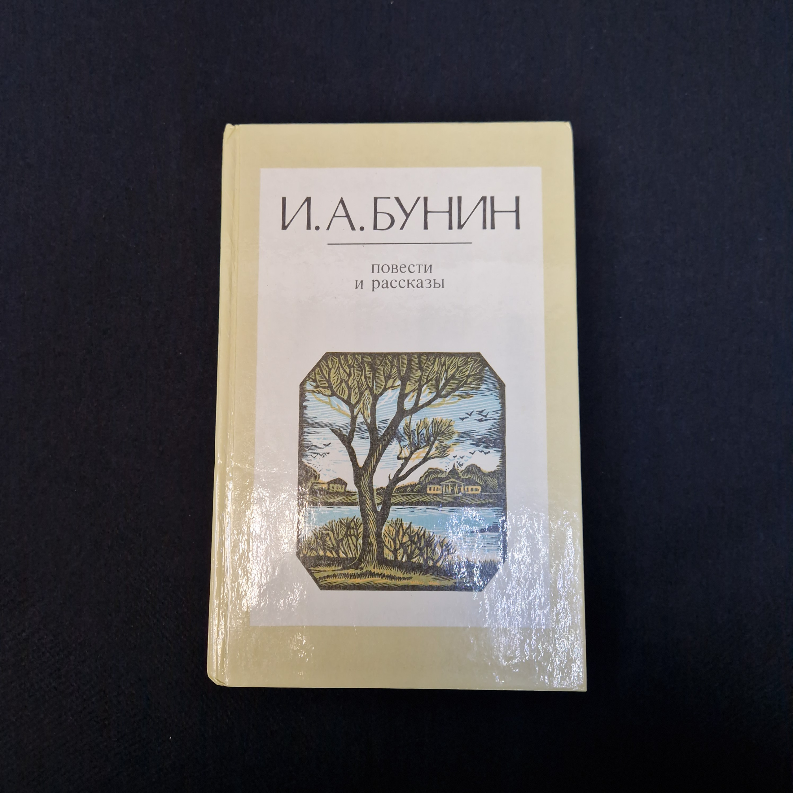 Картинка 1