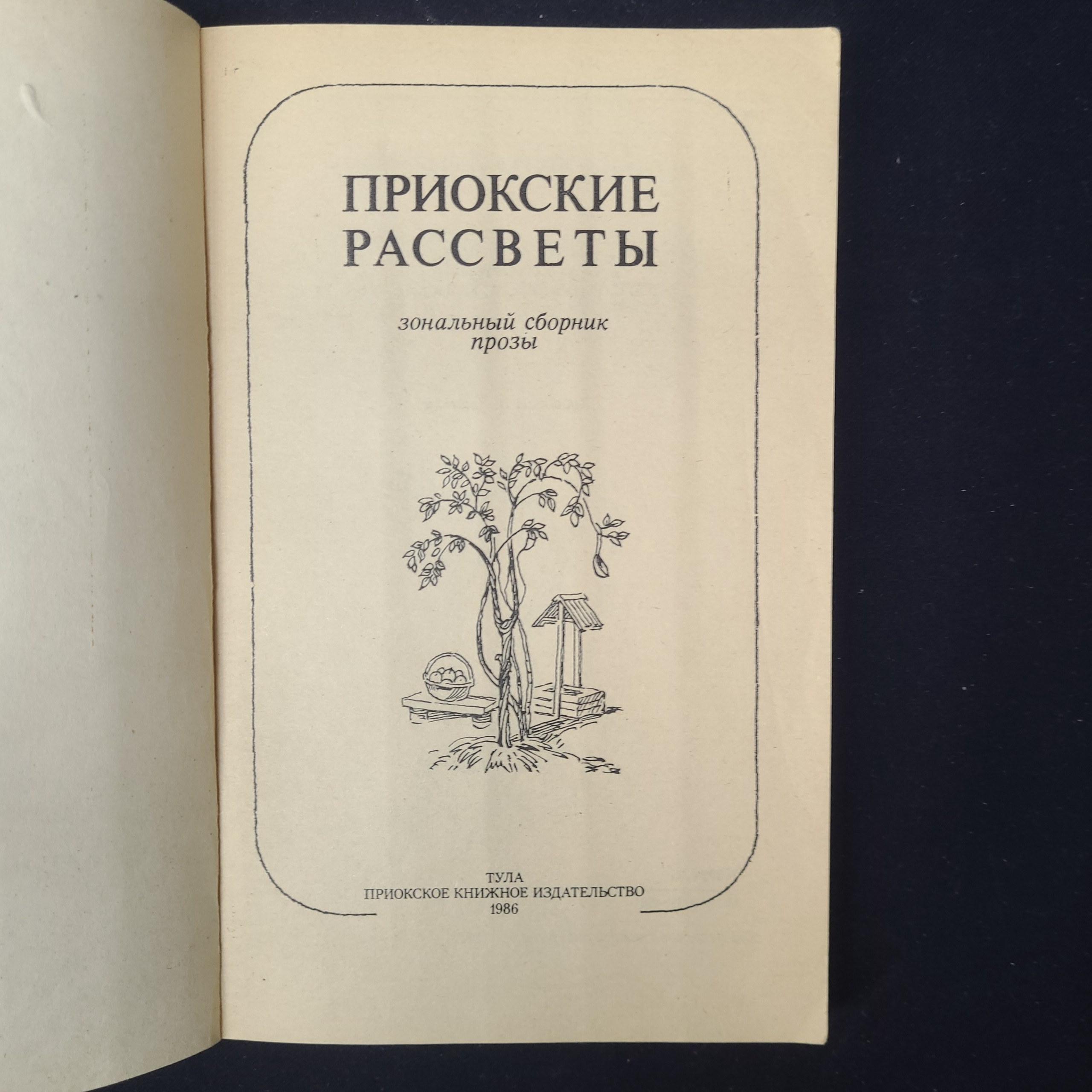 Картинка 4