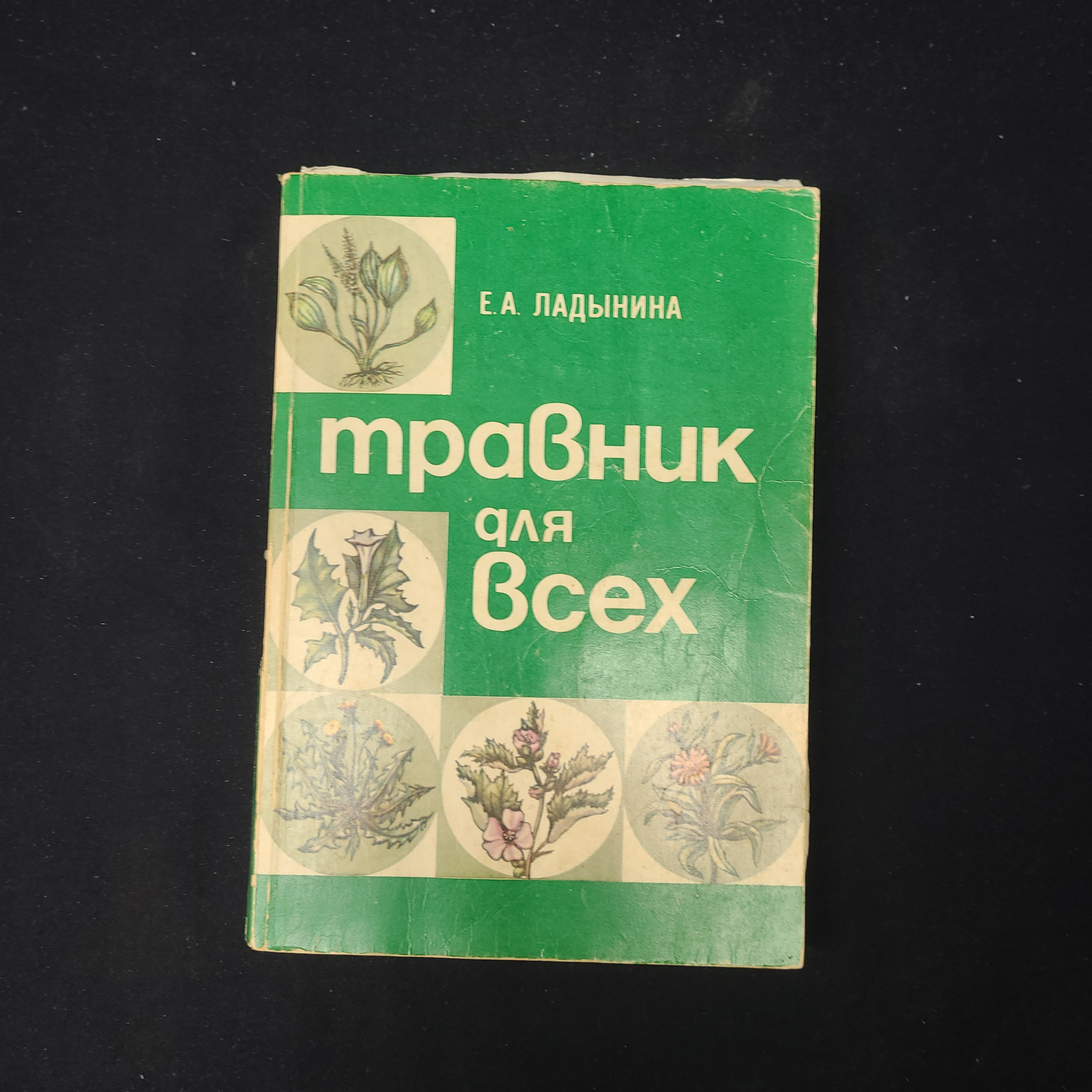 Картинка 1