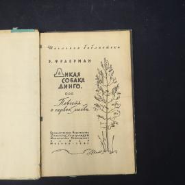 Картинка 4