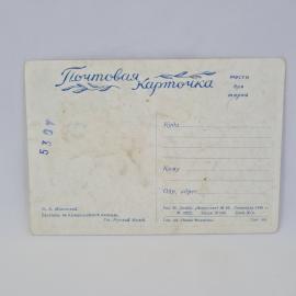 Картинка 2