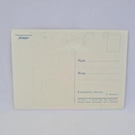 Картинка 2