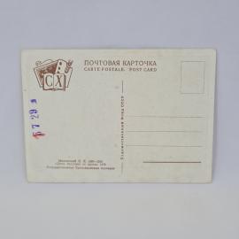Картинка 2