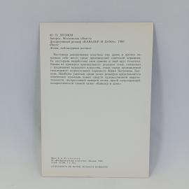 Картинка 2