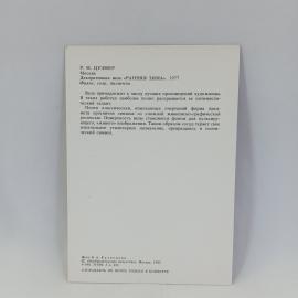 Картинка 2