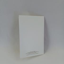 Картинка 3