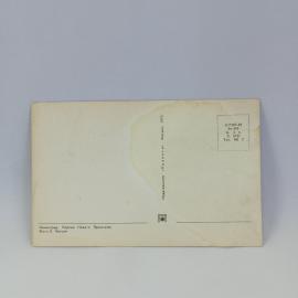 Картинка 2