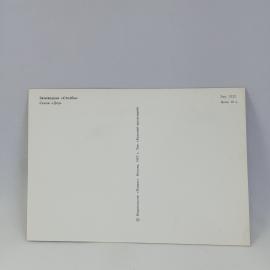 Картинка 2