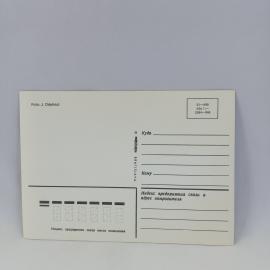 Картинка 2