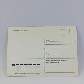 Картинка 2