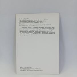 Картинка 2