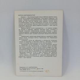 Картинка 2