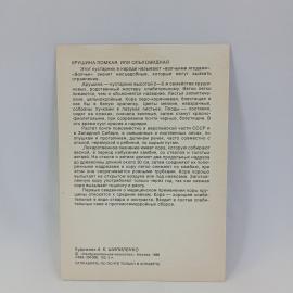 Картинка 2