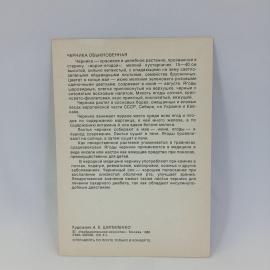 Картинка 2