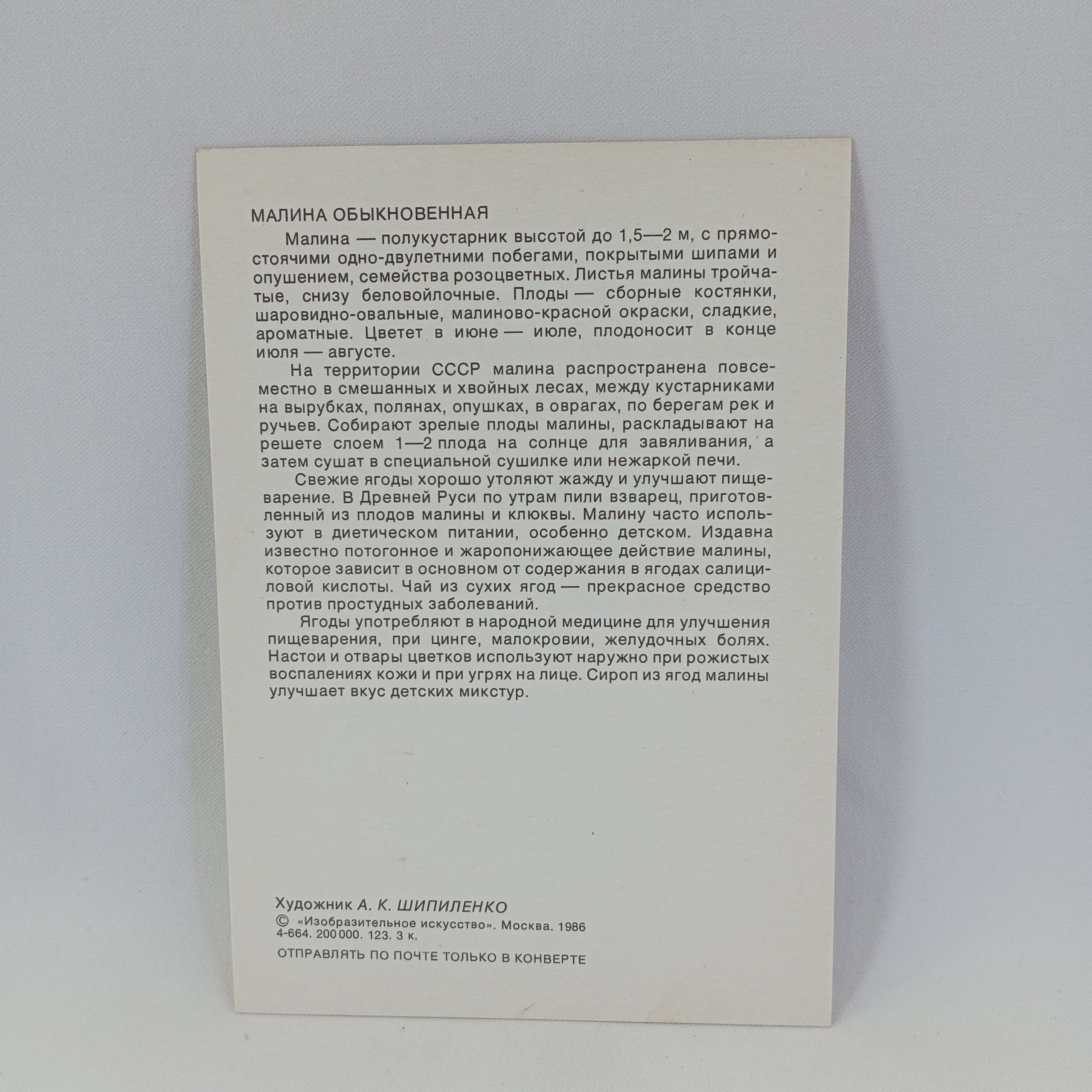 Картинка 2