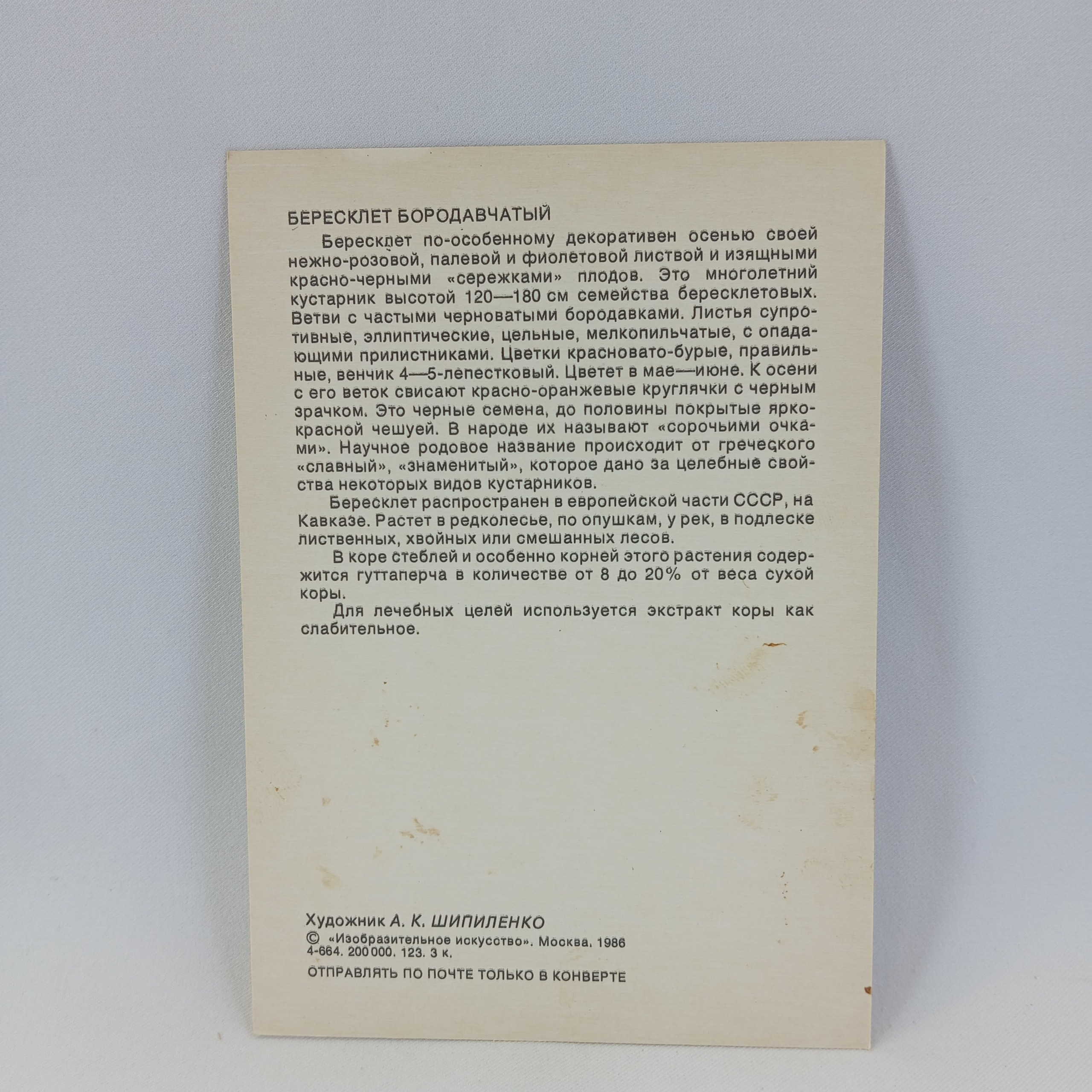 Картинка 2