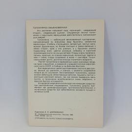 Картинка 2
