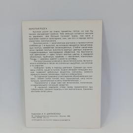 Картинка 2