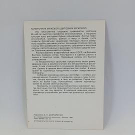 Картинка 2