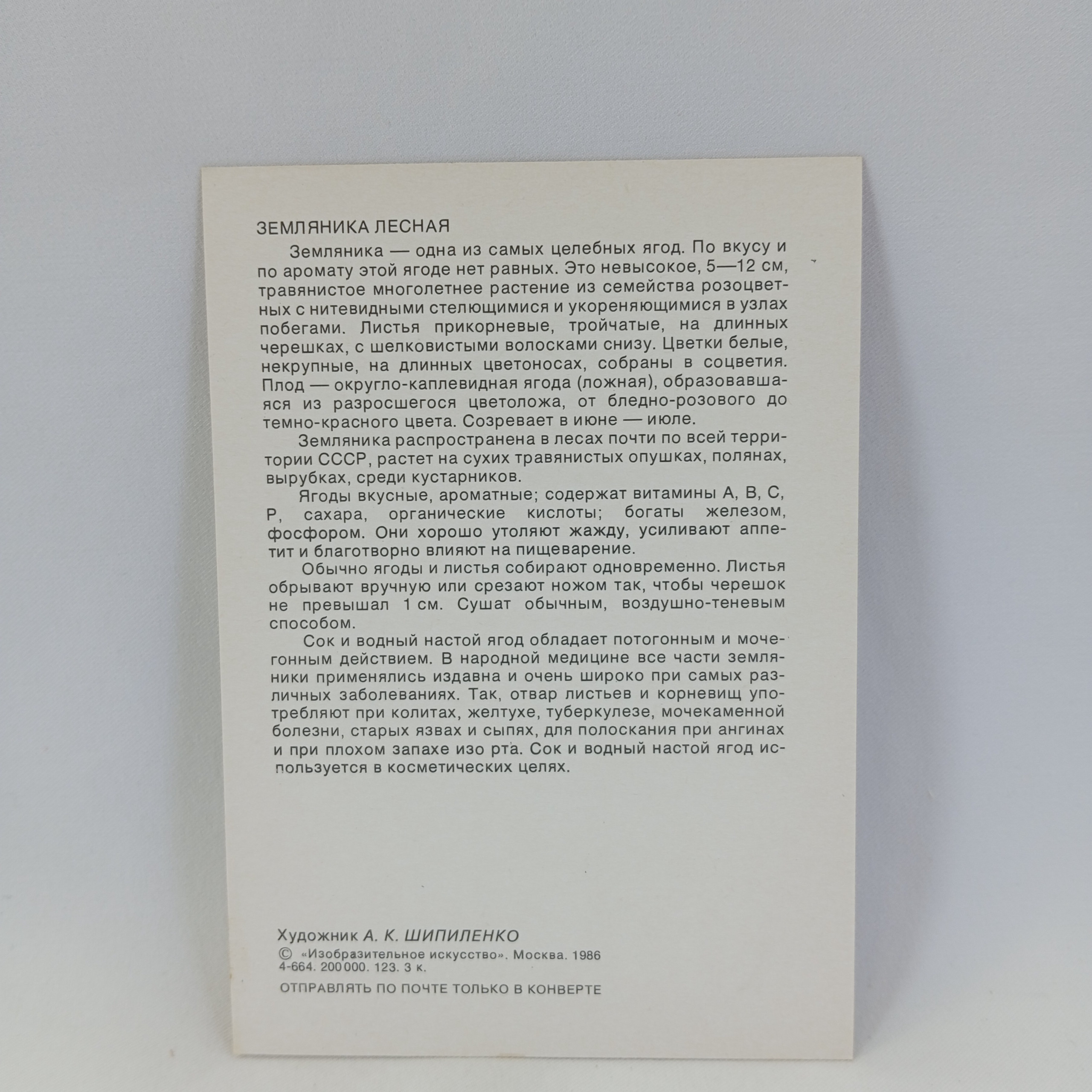Картинка 2
