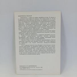 Картинка 2