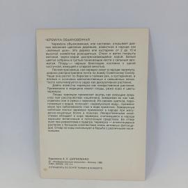 Картинка 2